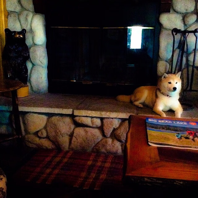 AYX SPORTS-缺席名单：拜仁慕尼黑主力无缘战维尔德斯，拜仁慕尼黑提前夺冠