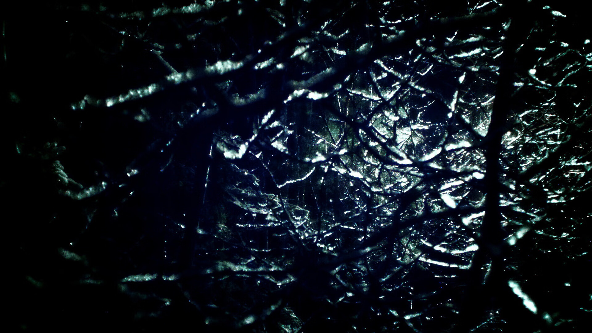 阿根廷球员海外联赛表现亮眼,阿根廷 队员