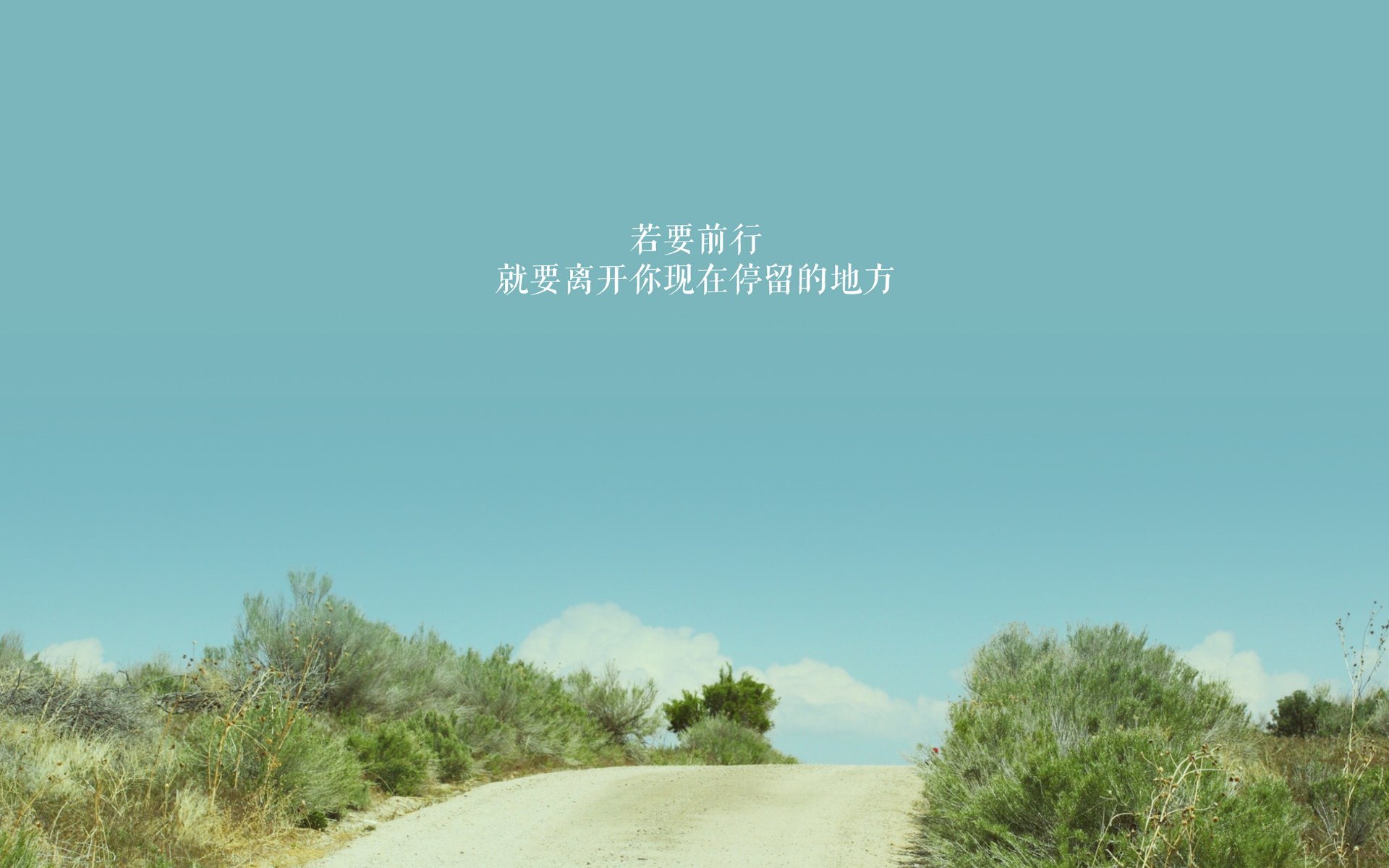 中国足球中前场球员技术动作偏好数据图，足球中前场号码