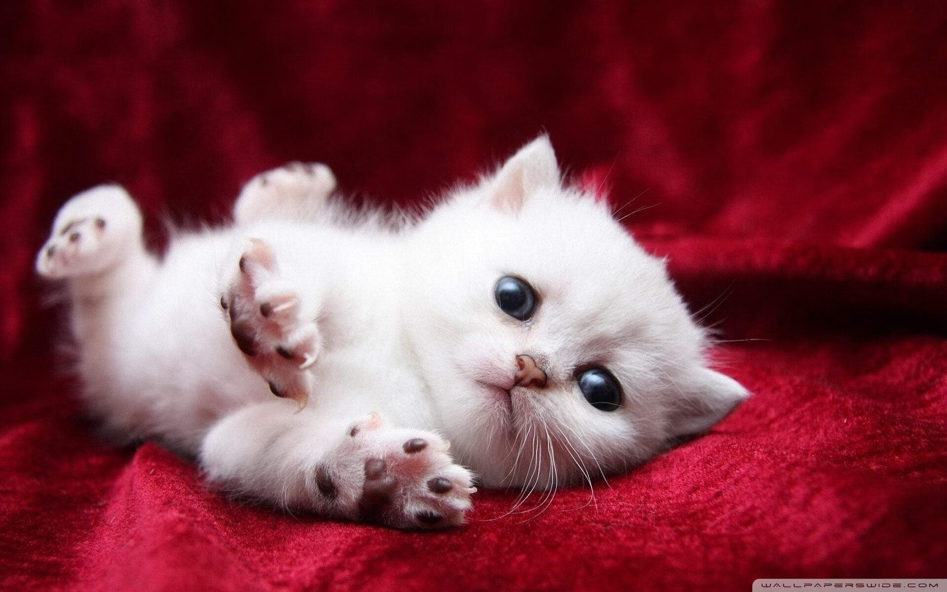 中小学体育课堂教学改革实践探索,中小学体育教学改革落实方案