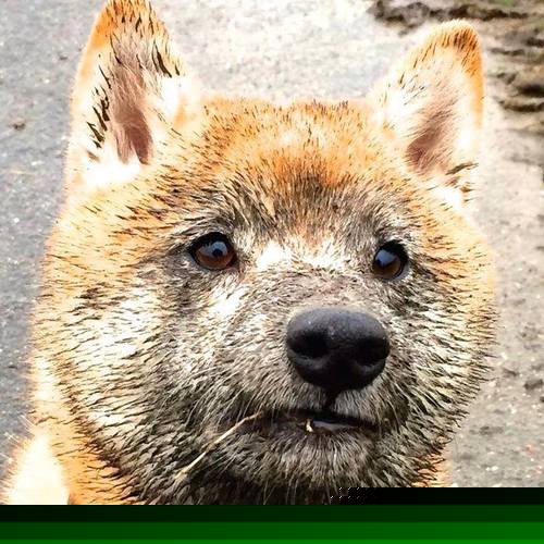 爱游戏平台-“水上救生：成都三叉湖赛场见证极限救援技术的精彩呈现”