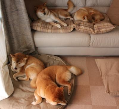 中国三人女篮通过国际赛事积累经验,中国女篮三人篮球比赛结果