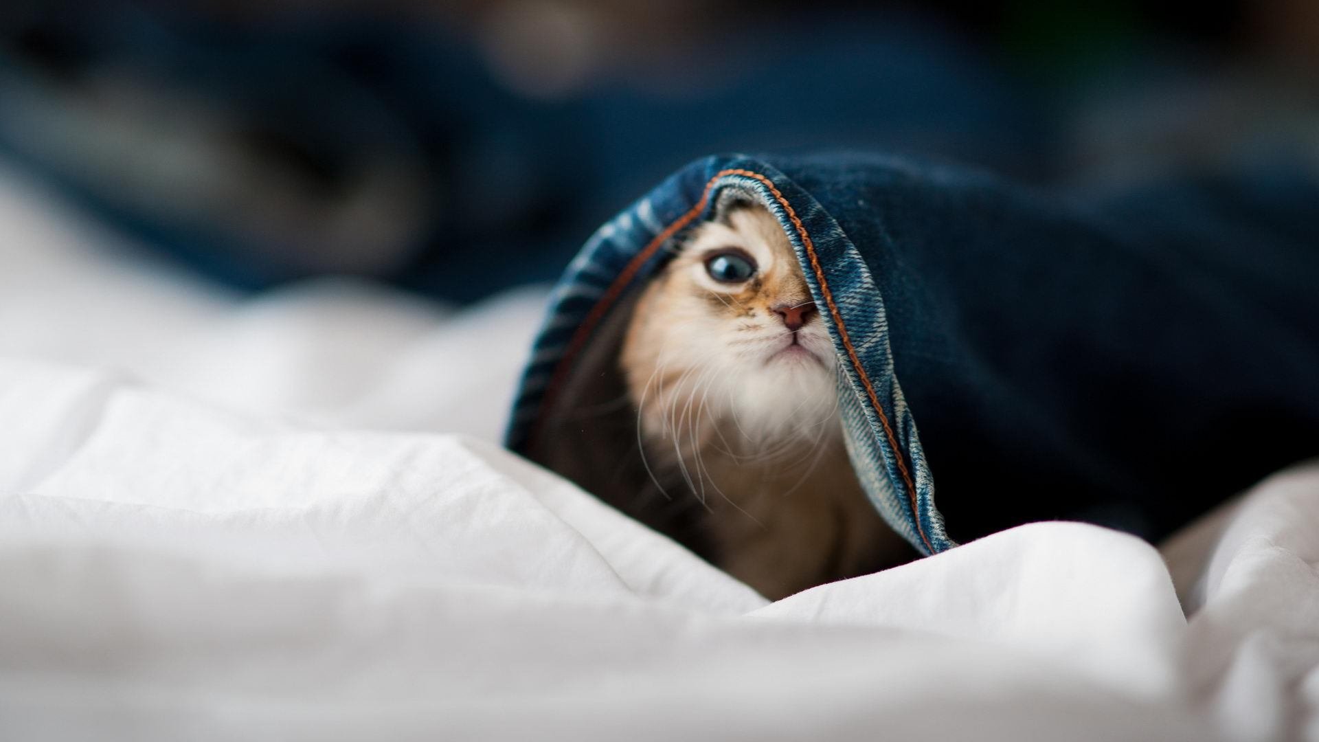 爱游戏在线登录入口-乒乓赛制调整带来技术突破，战术丰富多样，乒乓球的赛制现在是什么赛制