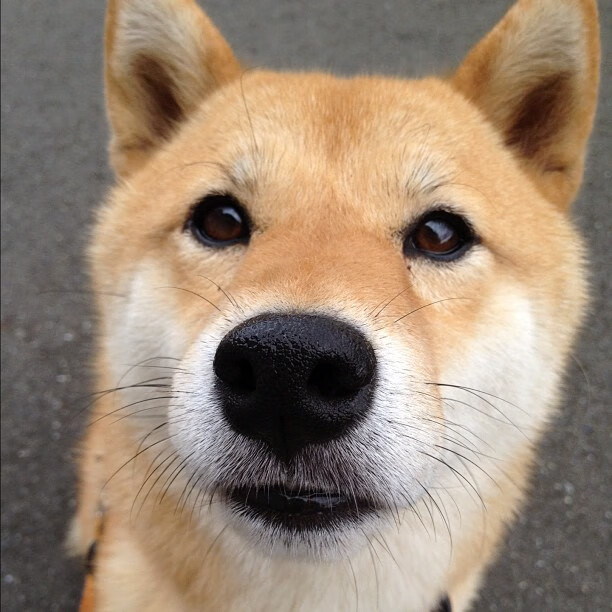 体育医疗团队紧密配合运动康复,医疗体育锻炼