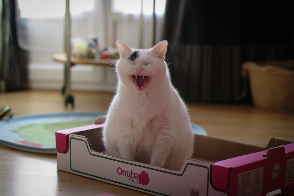 季后赛表现高于常规赛的球员名单,季后赛和常规赛