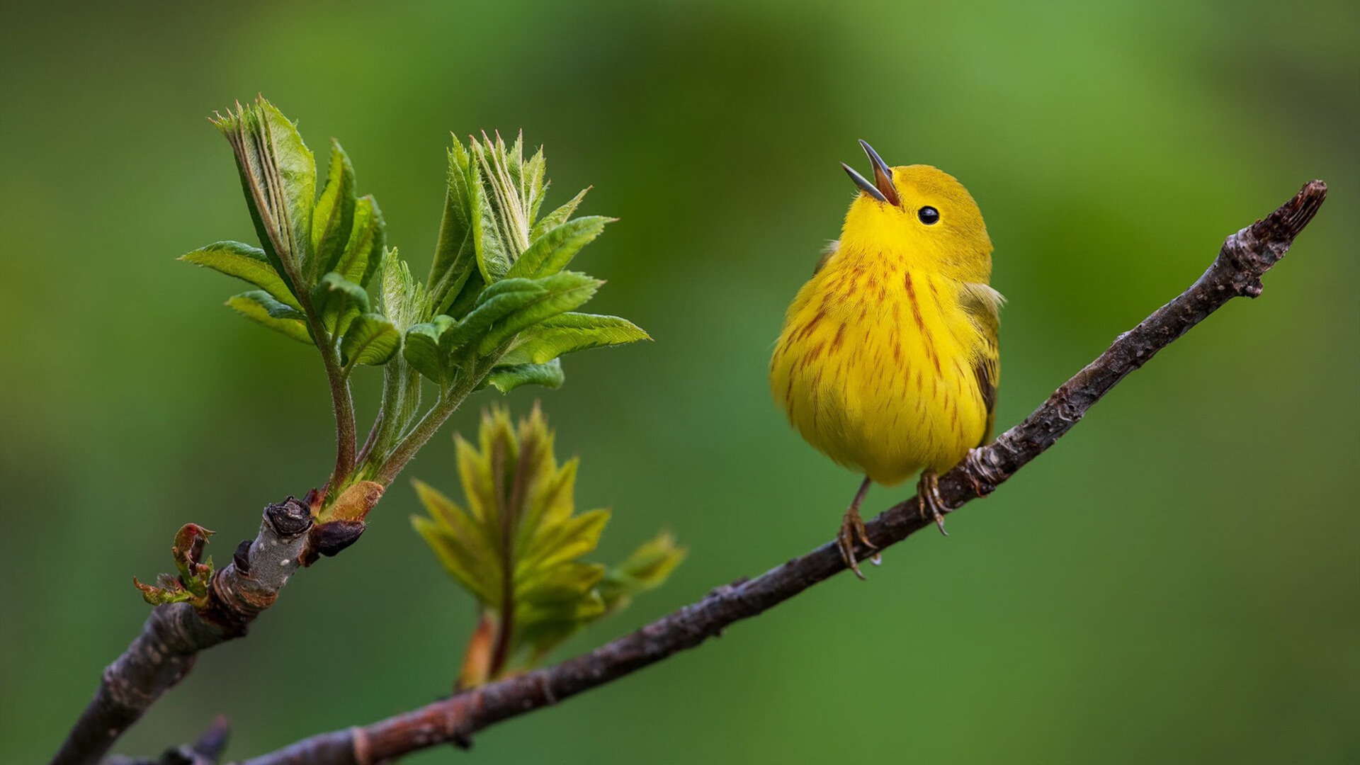 足球俱乐部梯队建设纳入年度评估体系,足球俱乐部价值评估排名连续八年第一的是