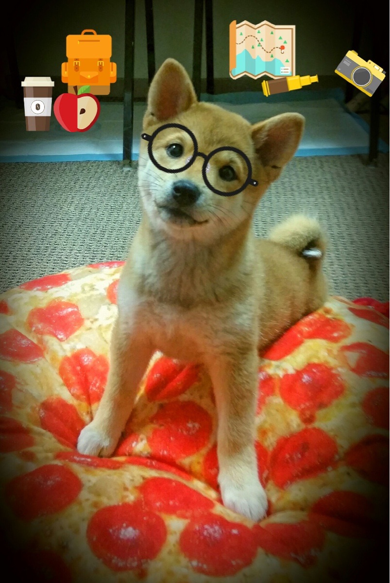 爱游戏官方网站-“伊万·戈梅斯的全能表现，帮助美洲狮队在全球橄榄球舞台崭露头角”