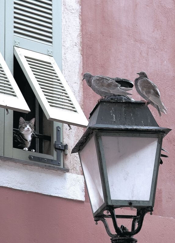 中国足球国家队构建新生代球员价值发展框架,我国足球规划球员