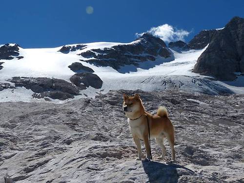 中国足球职业联赛推动线上观赛社群运营,足球联赛网站