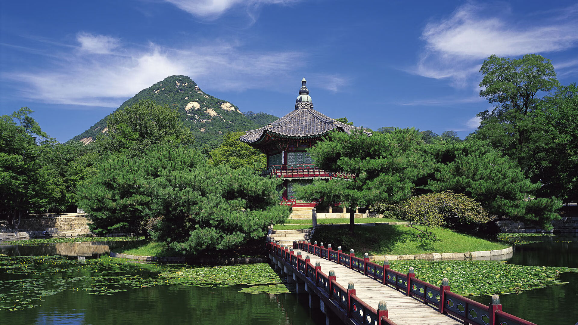 中学篮球联赛设置明星球员榜单提升学生动力,中学篮球排名