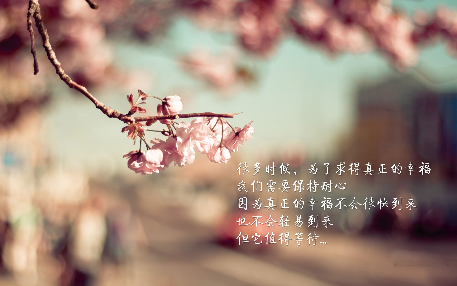 中国足球青训体系升级,培养未来国家队主力,中国足球青训搞得比较好的球队