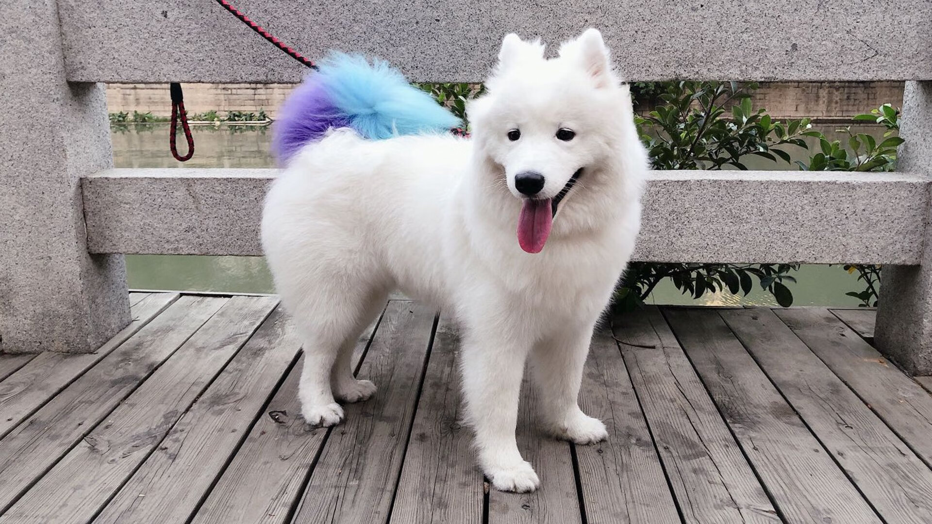 爱游戏下载-普劳德：节奏与反应决定胜负，普劳特假说