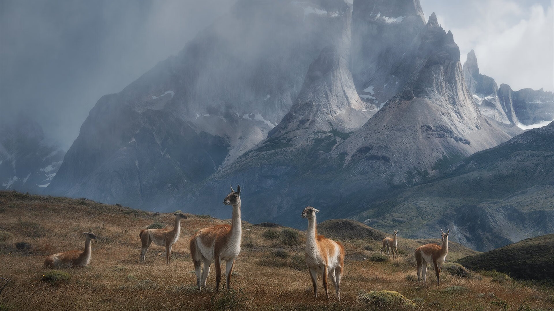 足协推动足球普及教育走进中小学,足球推广学校