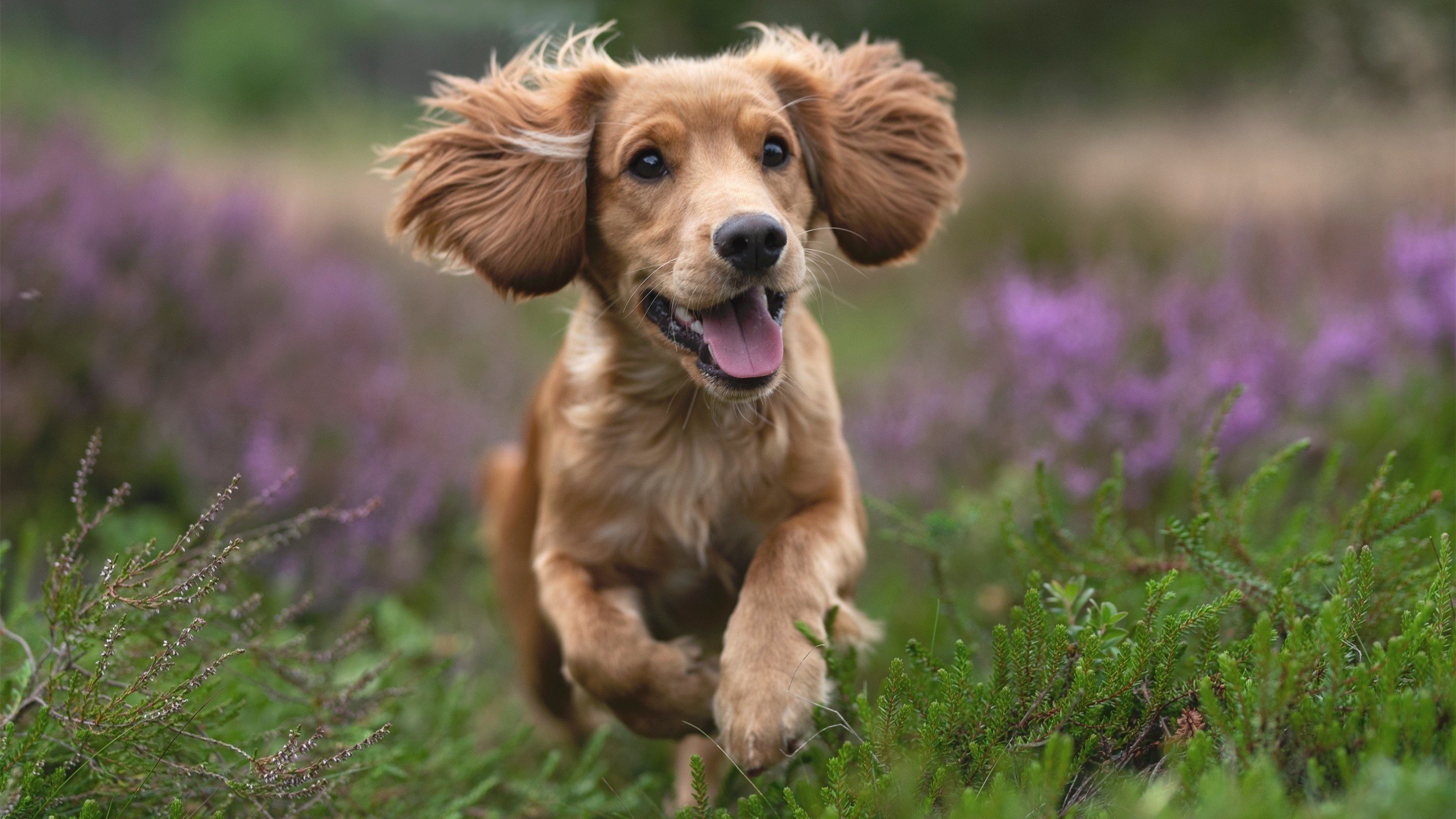 爱游戏官方-青训选拔更注重球员潜力而非阶段性成绩，青训选拔机制